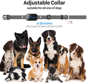 Dog Training Collar |  Electric Dog Collar with Beep Vibration and Static for All Dog Sizes 
