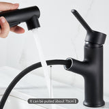 Bathroom/Kitchen Faucet With Pull Out Sprayer - Matte Black Solid Brass